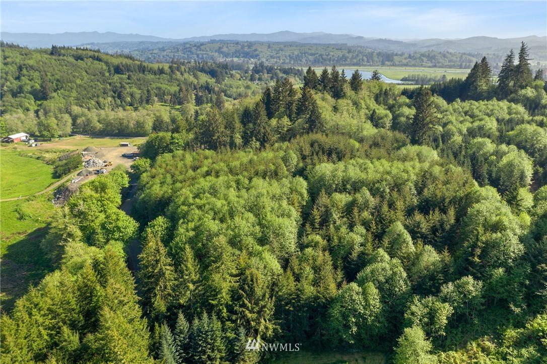 Raymond, WA 98577,0 Elk Creek RD