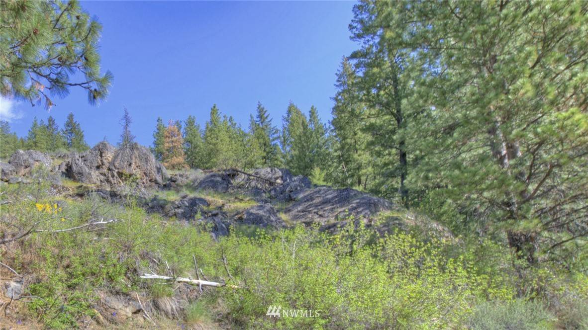 Twisp, WA 98856,1110 Twisp River RD