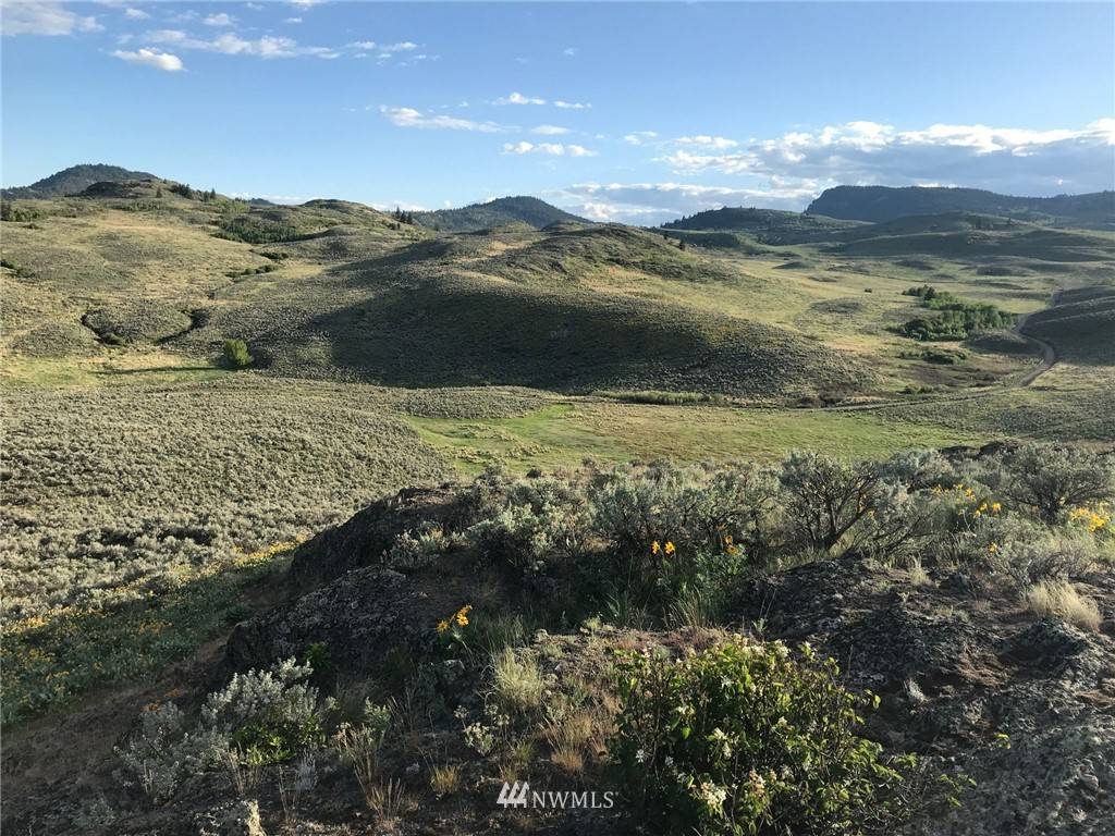 Oroville, WA 98844,0 TBD Ellemeham Mountain RD