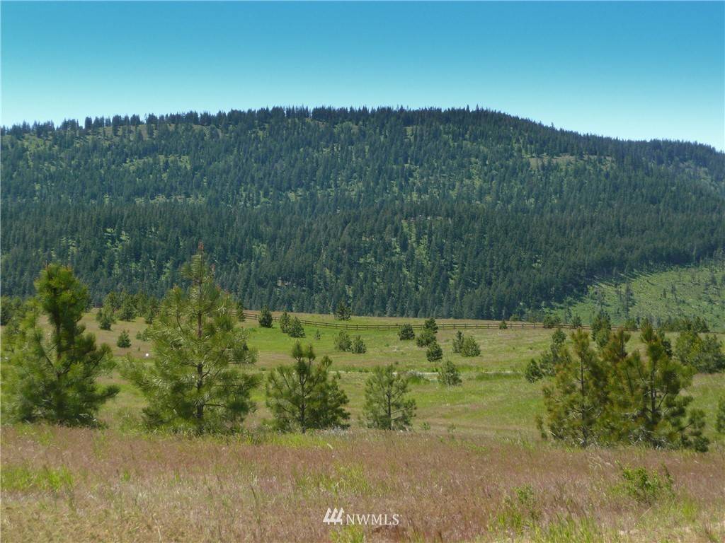 Cle Elum, WA 98922,845 (Lot 6) Leo LN