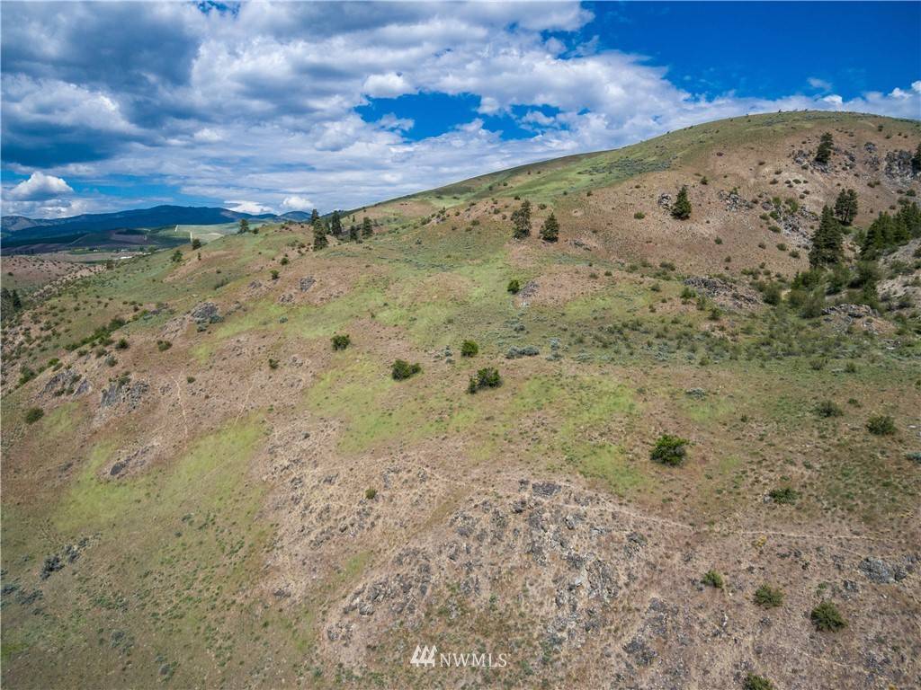 Chelan, WA 98816,100 Henderson TER