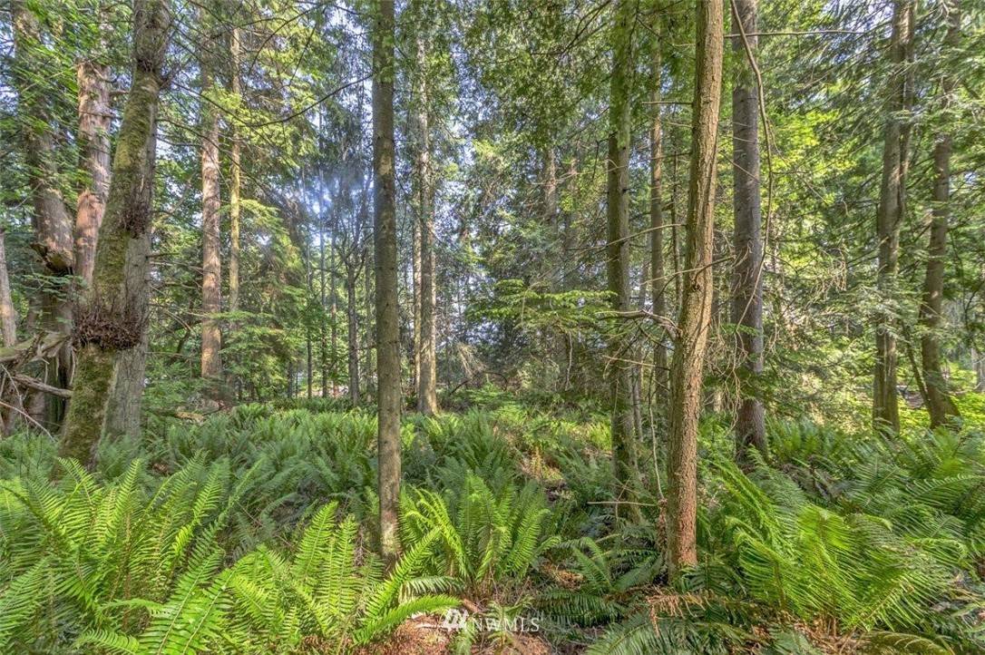 Port Ludlow, WA 98365,153 Tala Shore DR