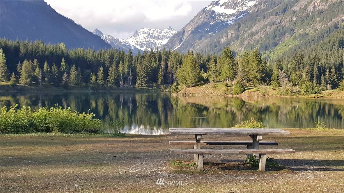 Snoqualmie Pass, WA 98030,69 Alta Loop