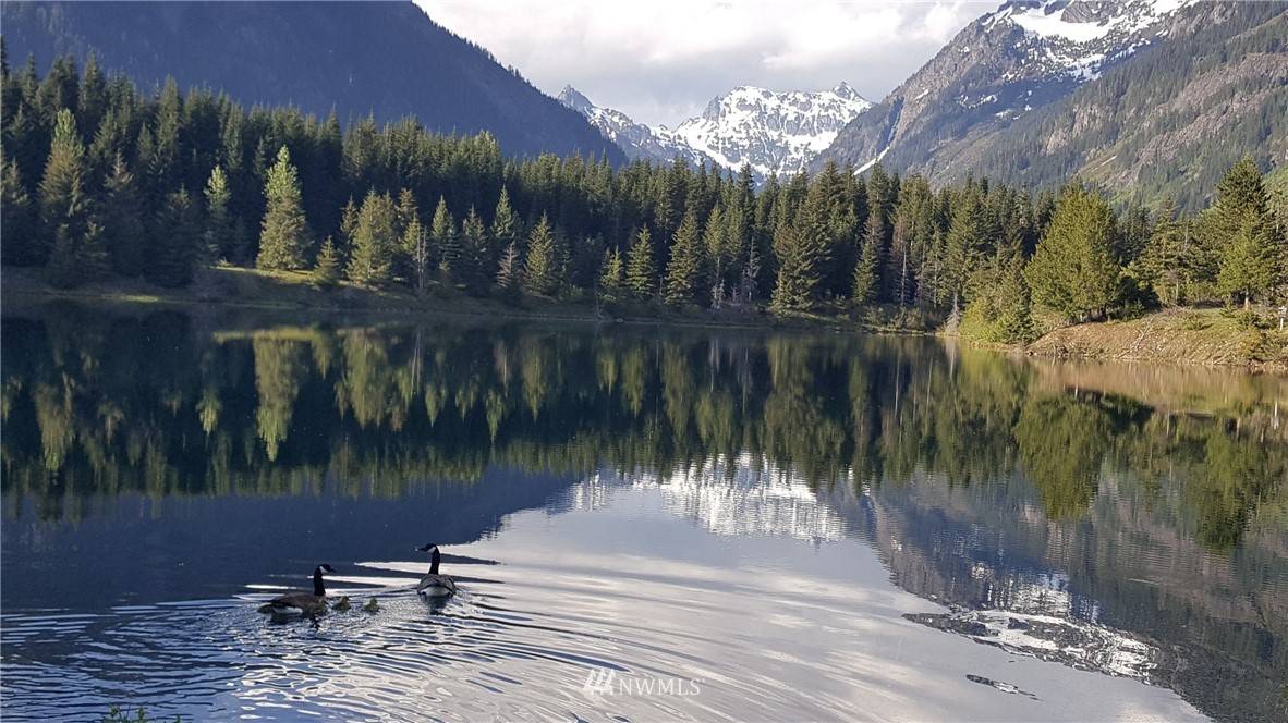 Snoqualmie Pass, WA 98030,69 Alta Loop