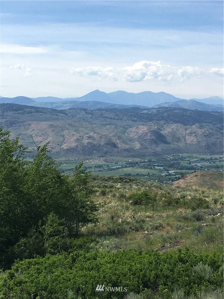 Tonasket, WA 98855,0 TBD Overland RD