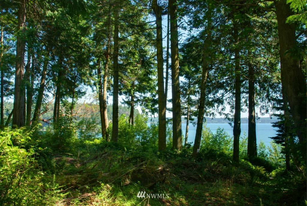 Port Ludlow, WA 98365,5373 Paradise Bay RD NE