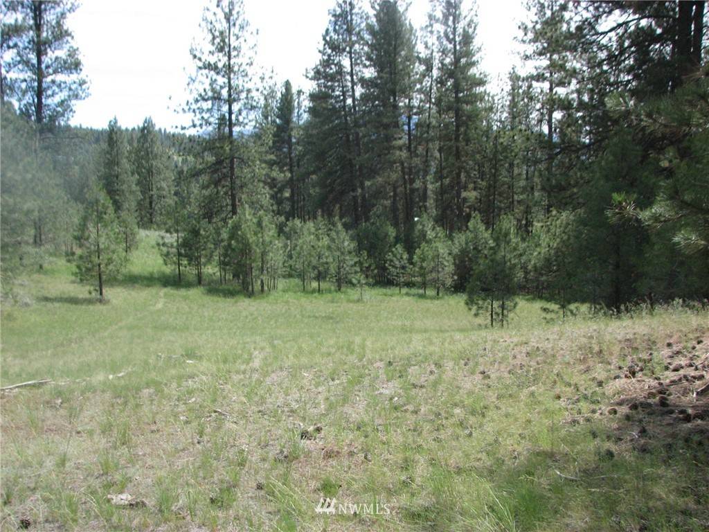 Tonasket, WA 98855,0 Lot 191 Cape LaBelle RD