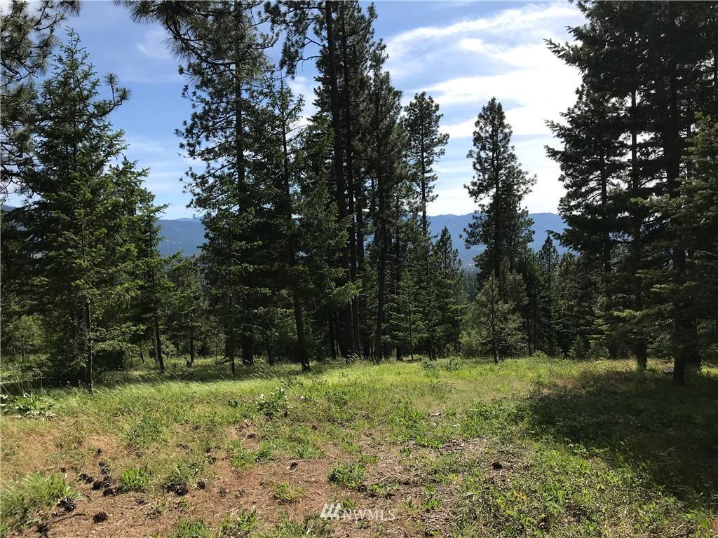 Cle Elum, WA 98922,153 Big Tail RD