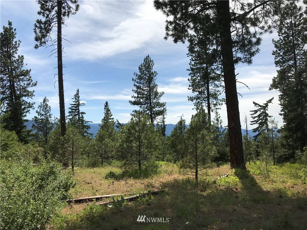 Cle Elum, WA 98922,0 XXX Creekside RD