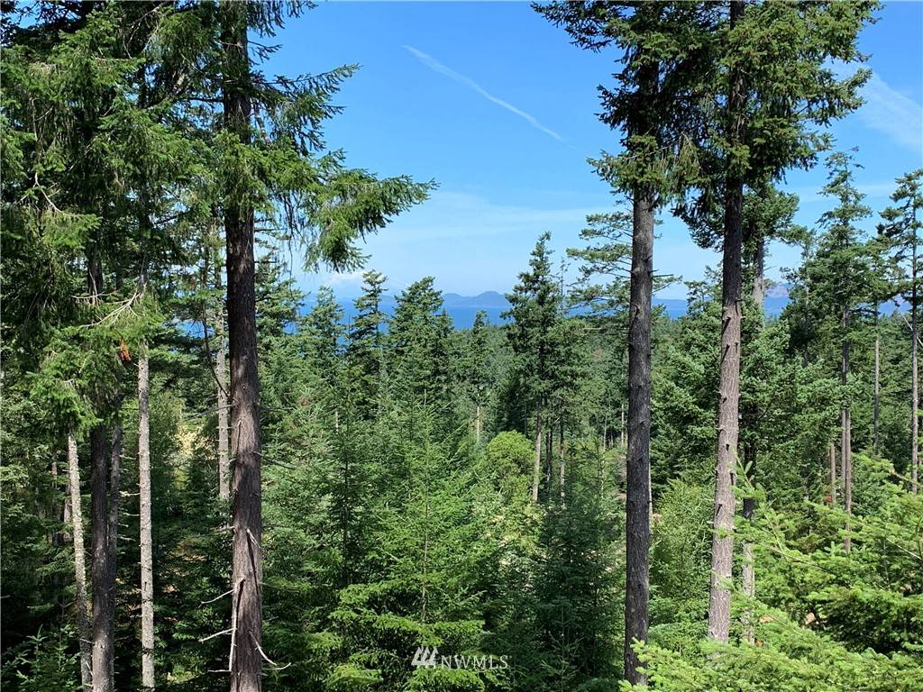 Orcas Island, WA 98245,128 High Bluff RD