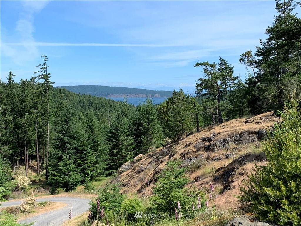 Orcas Island, WA 98245,128 High Bluff RD