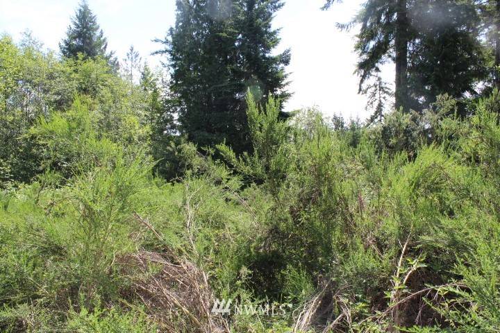 Allyn, WA 98524,825 E Twilight WAY