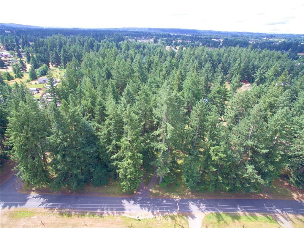 Rochester, WA 98579,0 XX 173rd AVE SW