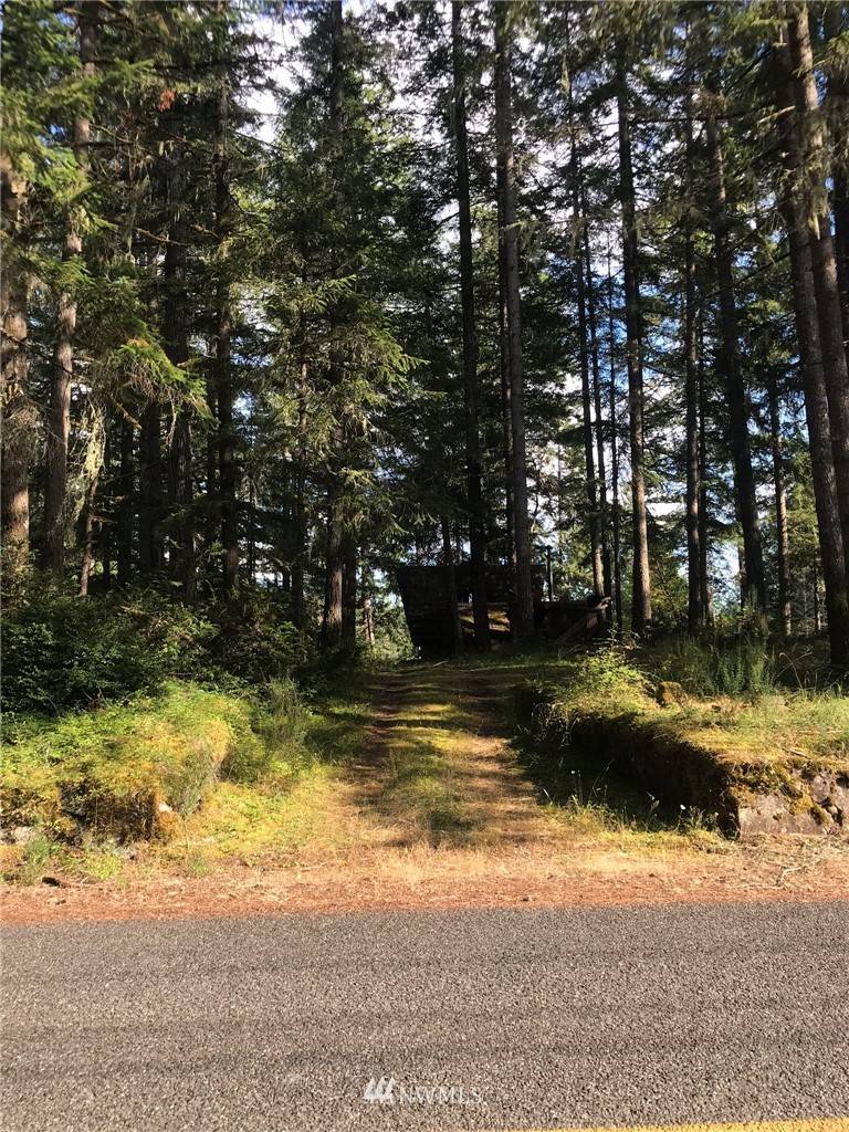 Grapeview, WA 98546,5830 E Mason Lake DR W