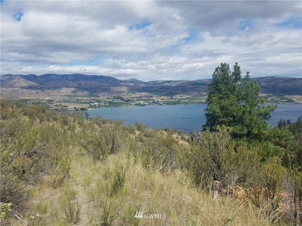 Chelan, WA 98816,0 Bear Mountain RD