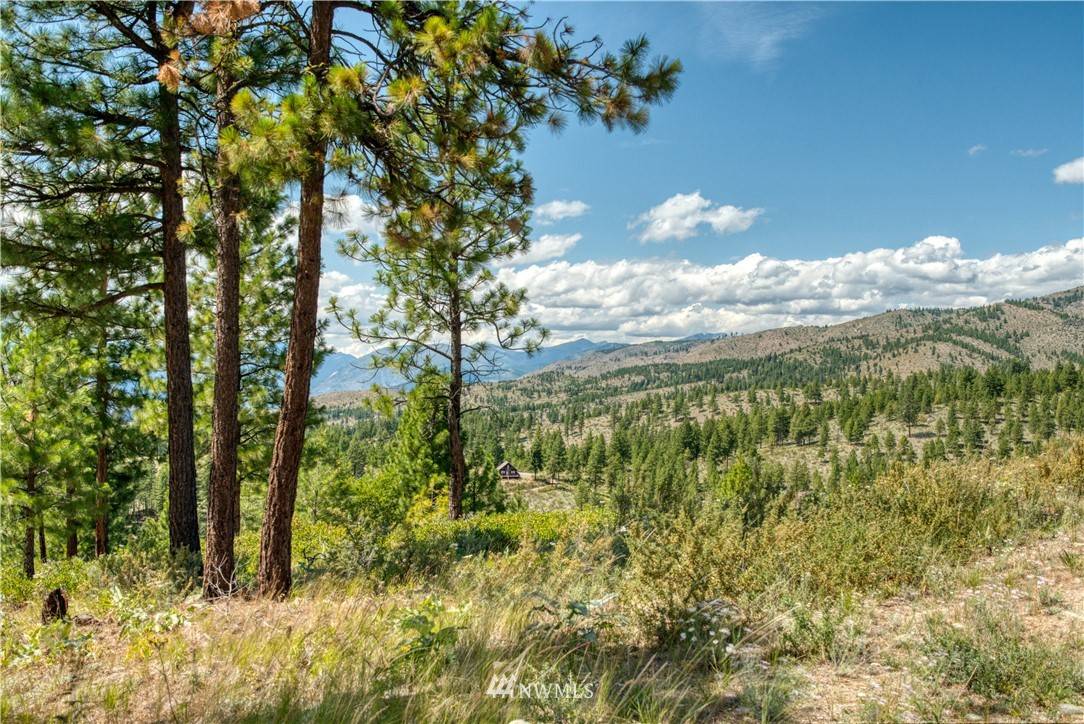 Manson, WA 98831,0 NNA Cooper Mountain RD