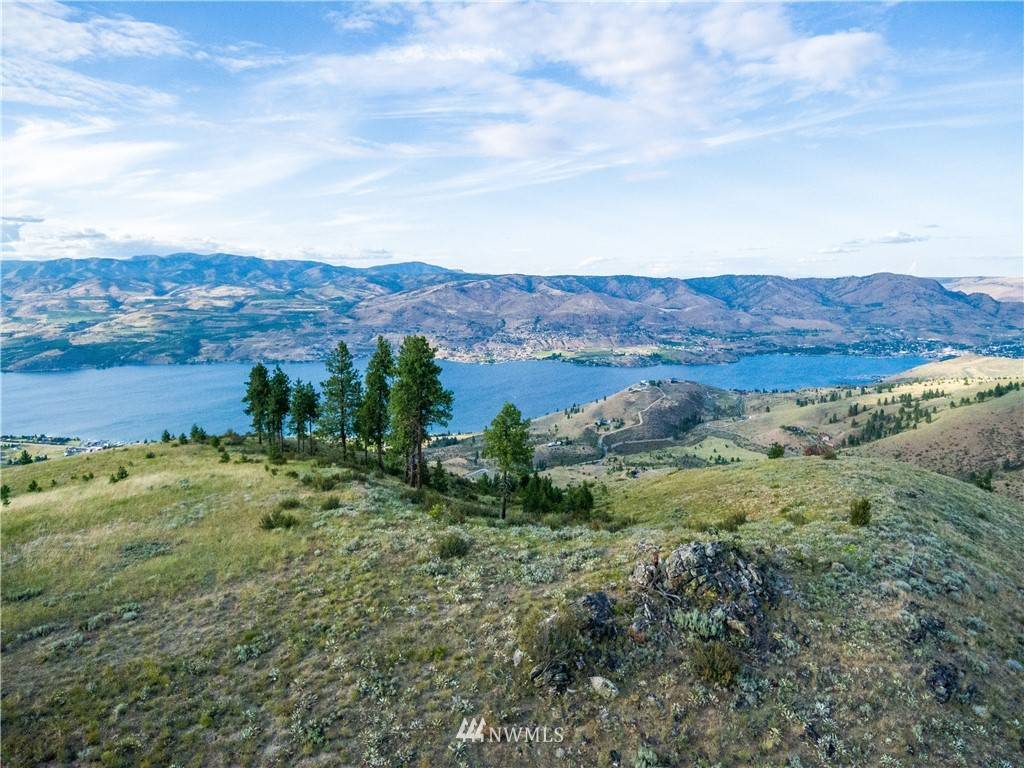 Chelan, WA 98816,238 Hawks Ridge RD