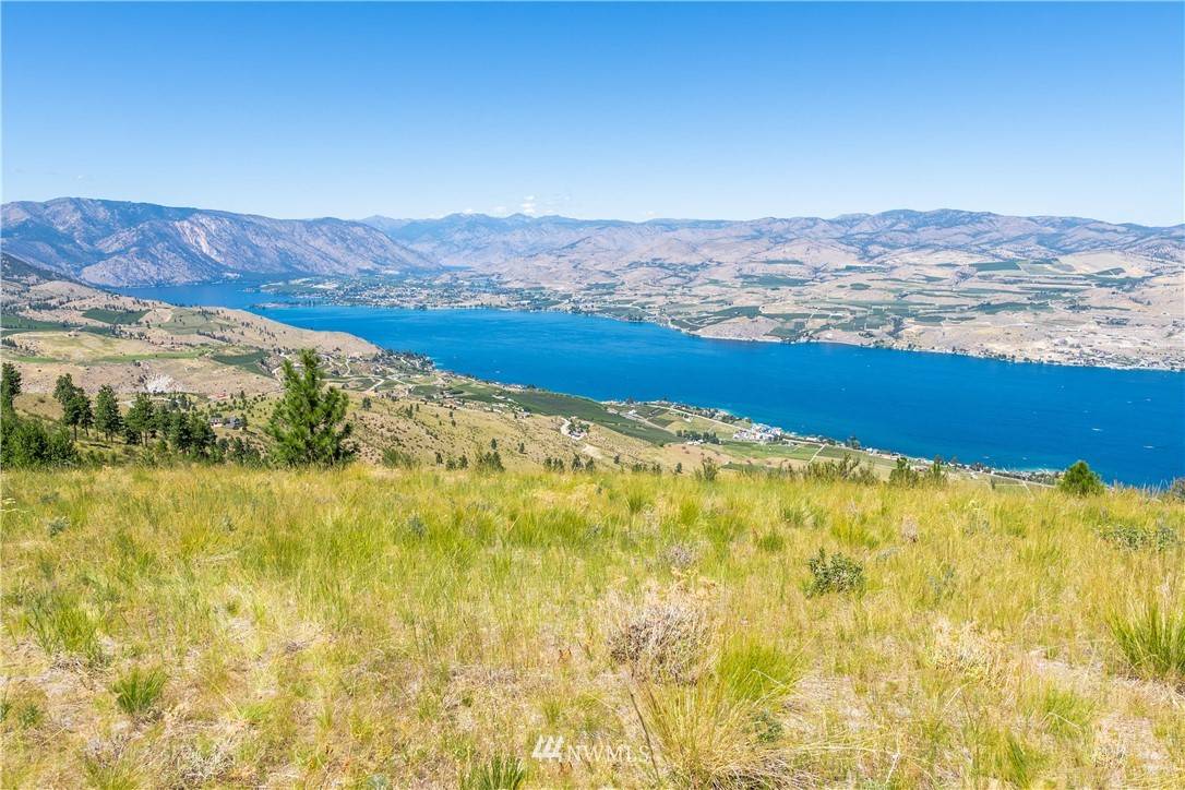 Chelan, WA 98816,238 Hawks Ridge RD