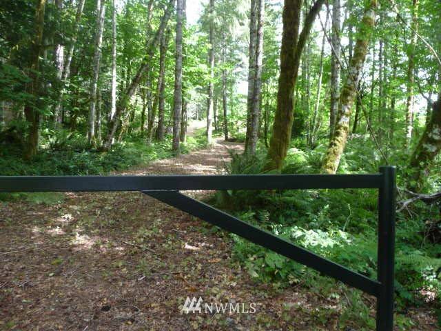 Cougar, WA 98616,112 Glacier View Dr