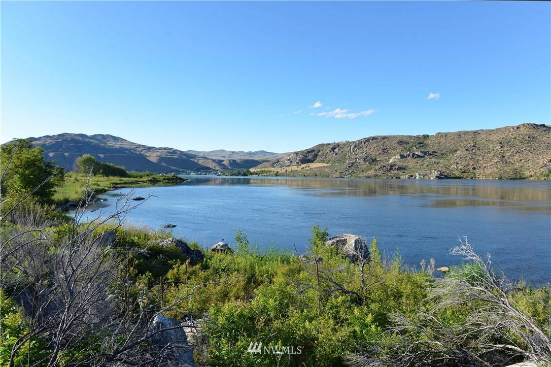 Pateros, WA 98846,0 LOT 5 Lone Coyote RD