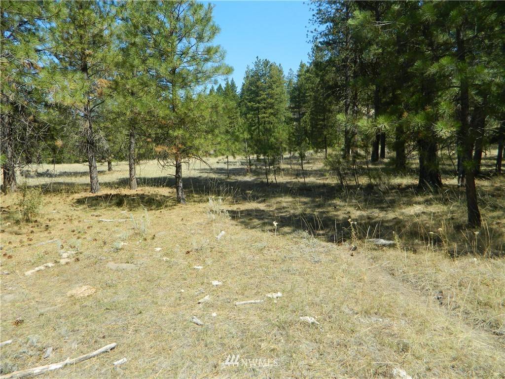 Tonasket, WA 98855,1111 TBD Main RD