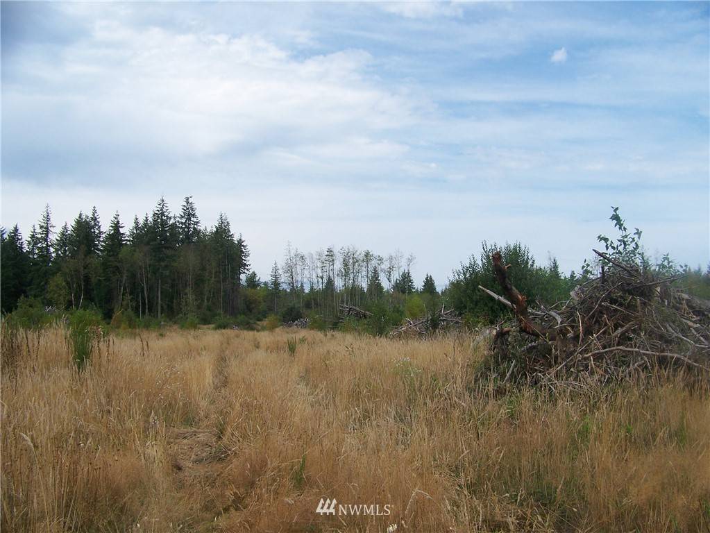 Winlock, WA 98596,0 Meier RD