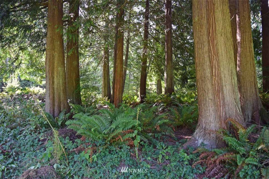 Port Ludlow, WA 98365,0 Lot 26 Highland DR