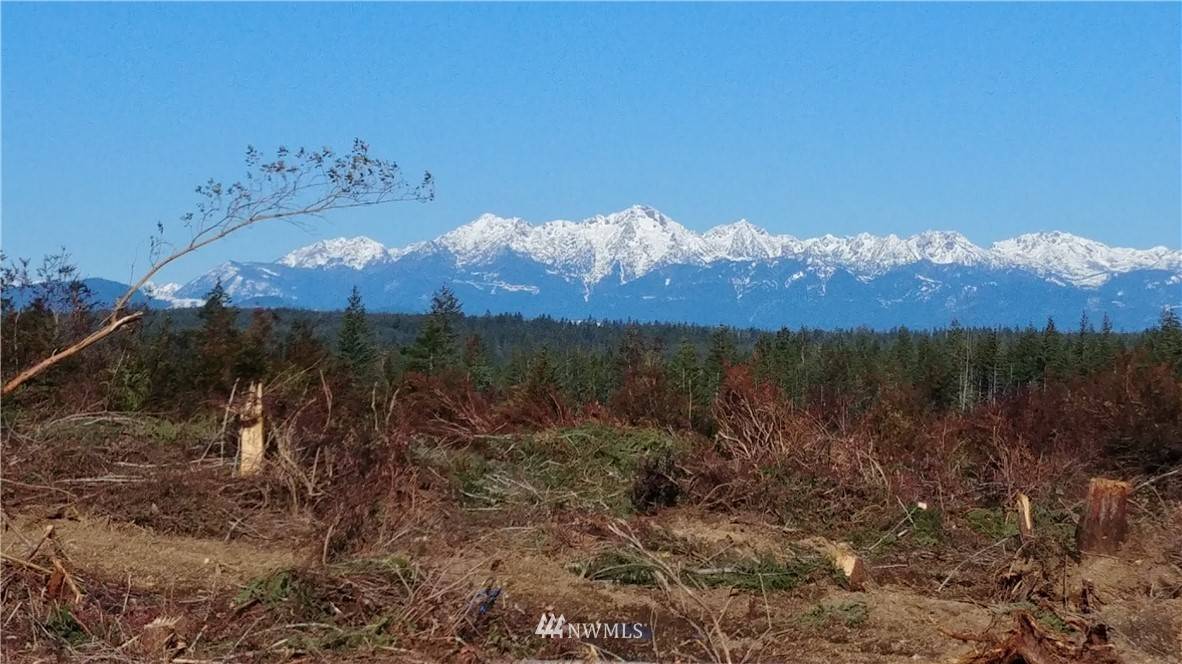 Grapeview, WA 98546,0 lot3 Benson Ridge RD