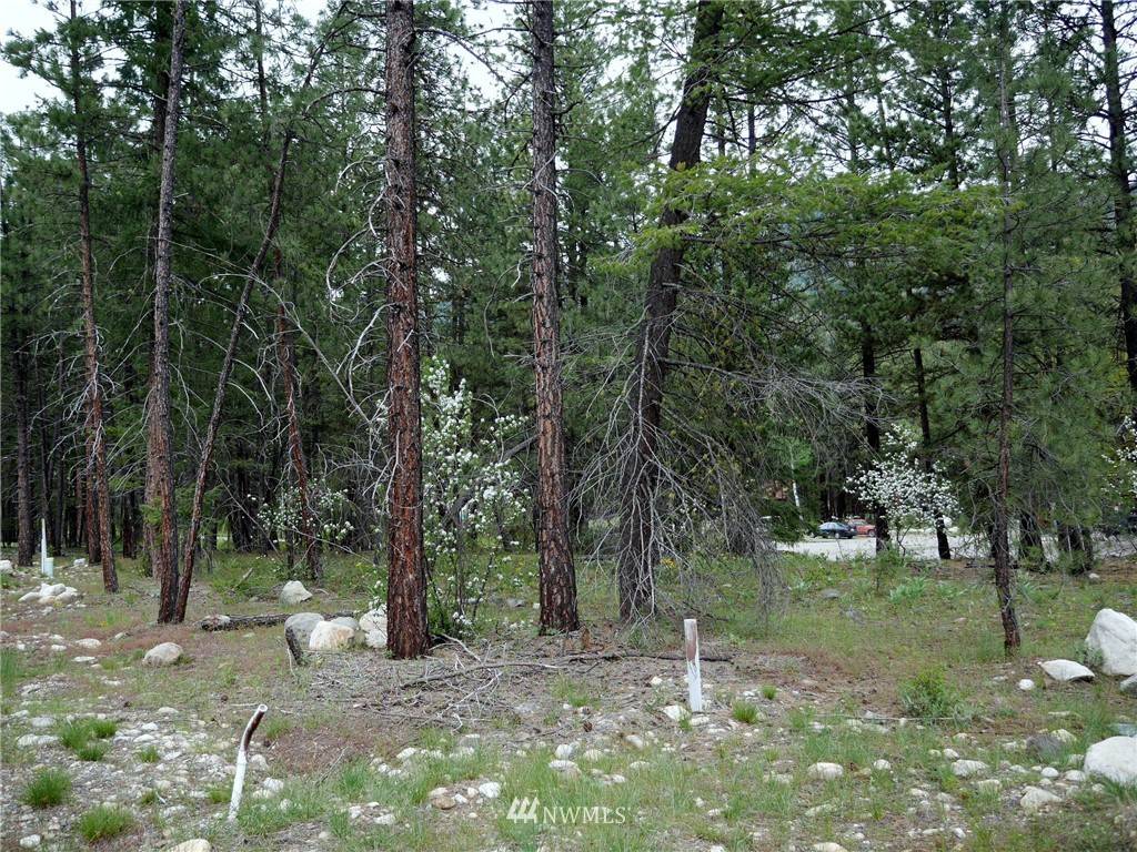 Mazama, WA 98833,49 Lost River Rd Lot C2 RD