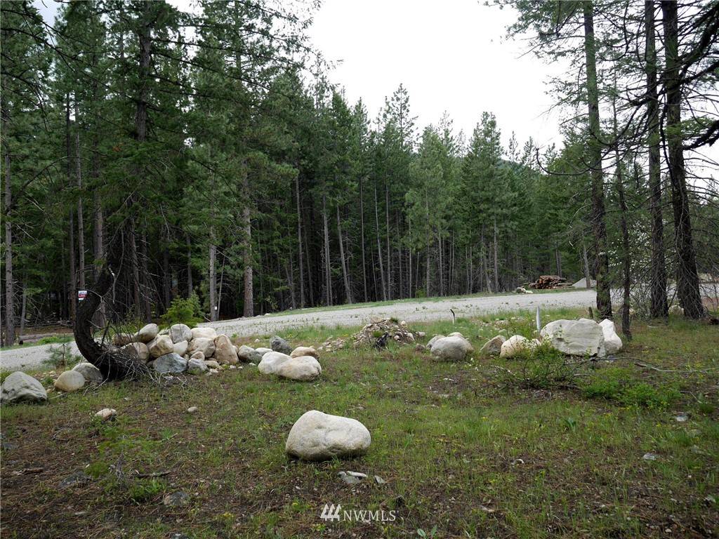 Mazama, WA 98833,49 Lost River Rd Lot C2 RD