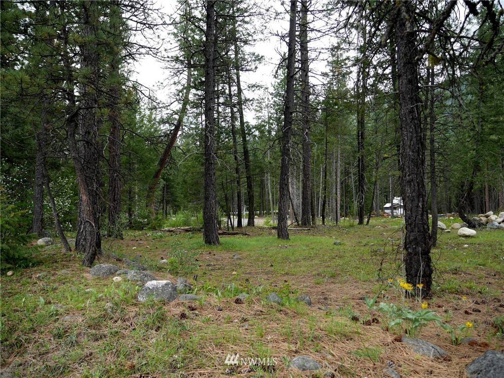 Mazama, WA 98833,49 Lost River Rd Lot C2 RD