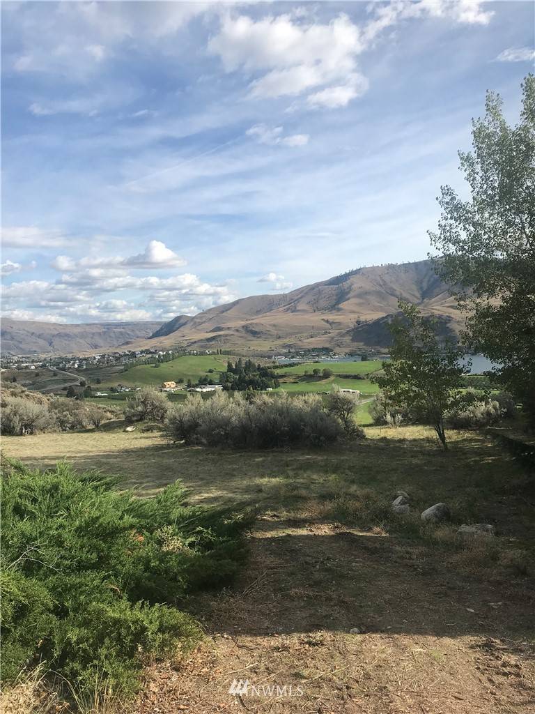 Chelan, WA 98816,122 Lookout WAY