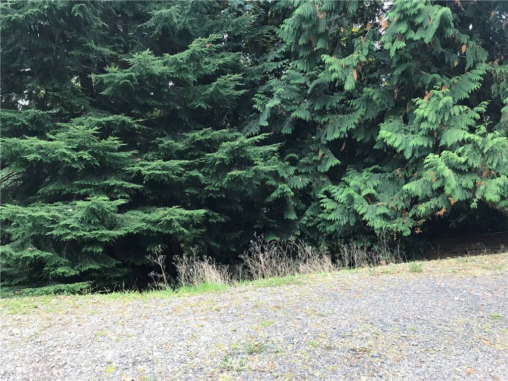 Sedro Woolley, WA 98284,0 E Alder DR