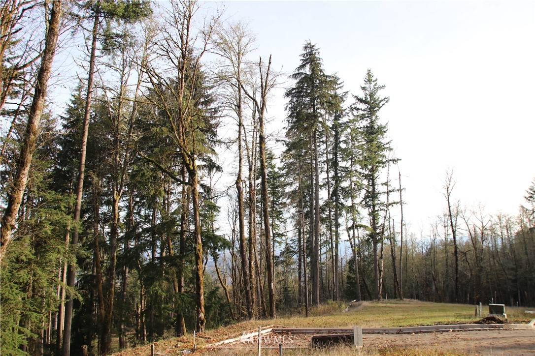 Bellevue, WA 98006,17845 SE Cougar Mountain DR #Lot 2