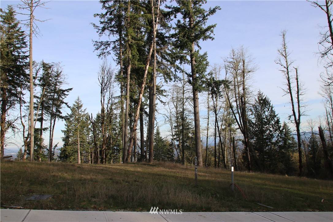 Bellevue, WA 98006,17845 SE Cougar Mountain DR #Lot 4