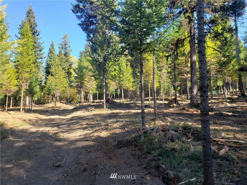 Tonasket, WA 98855,111 NF 60