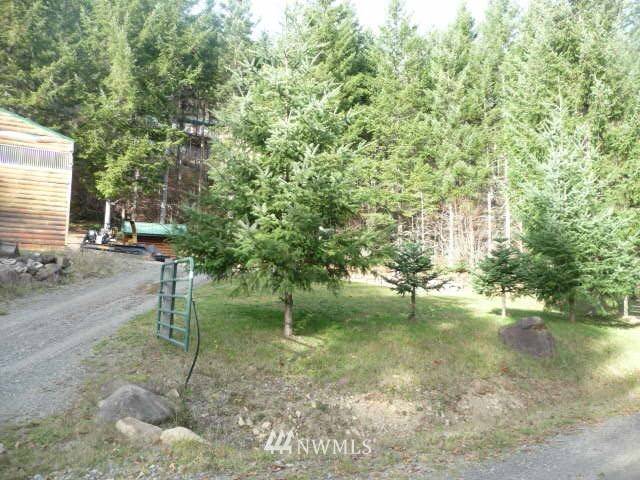 Cougar, WA 98616,111 Monarch Road RD