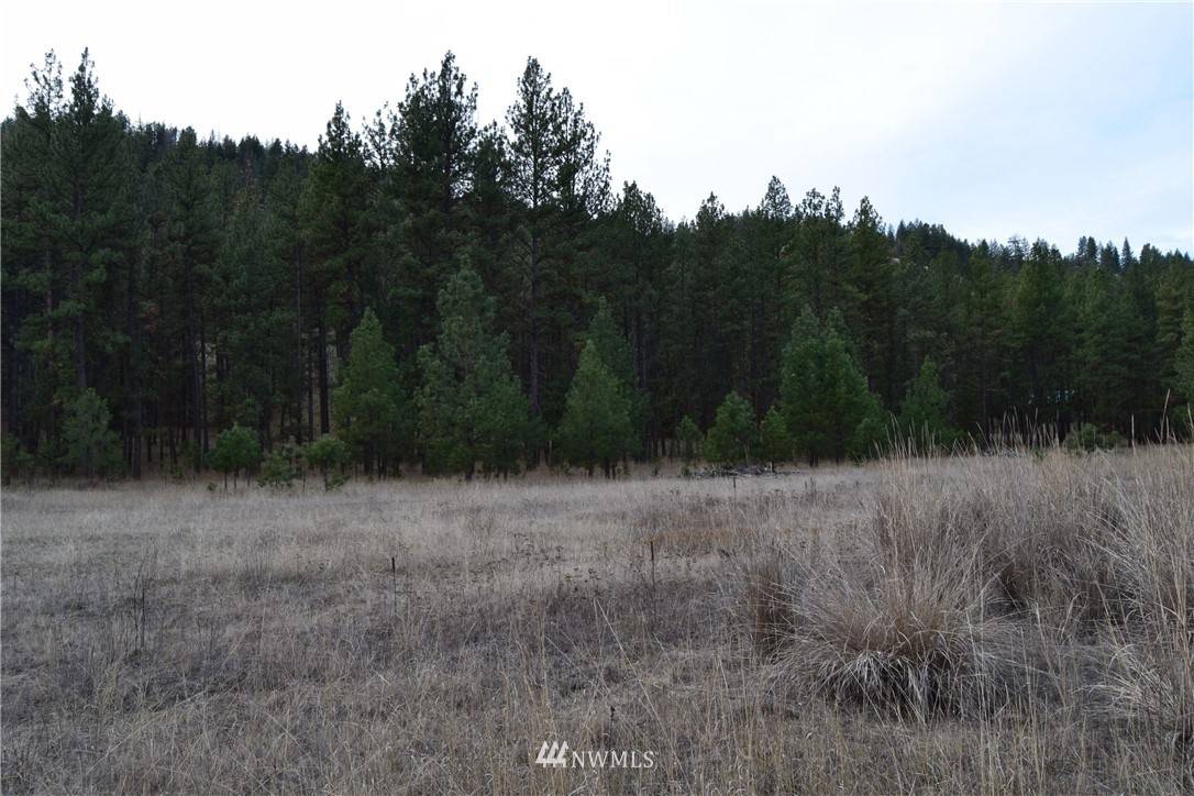 Tonasket, WA 98855,9 Sorona WAY W