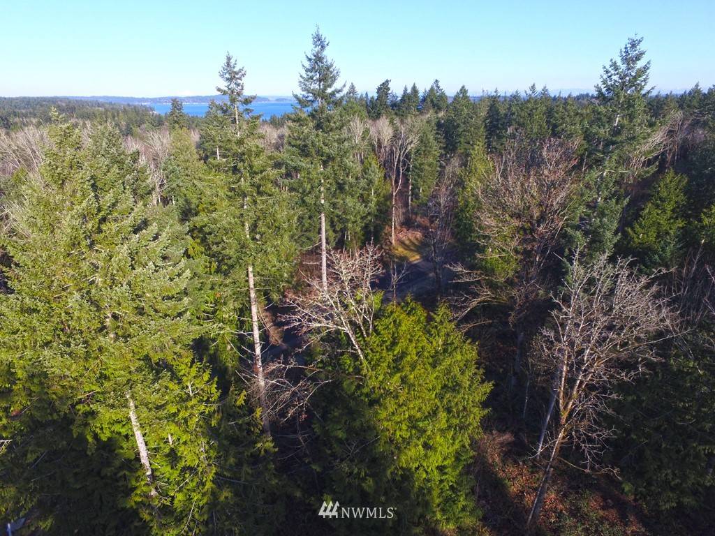 Port Orchard, WA 98366,5 Lot 5 Forest View LN