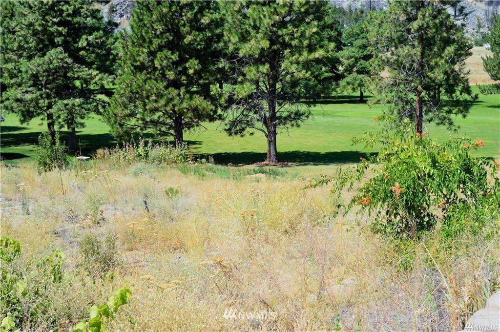 Pateros, WA 98846,103 Golf Course DR