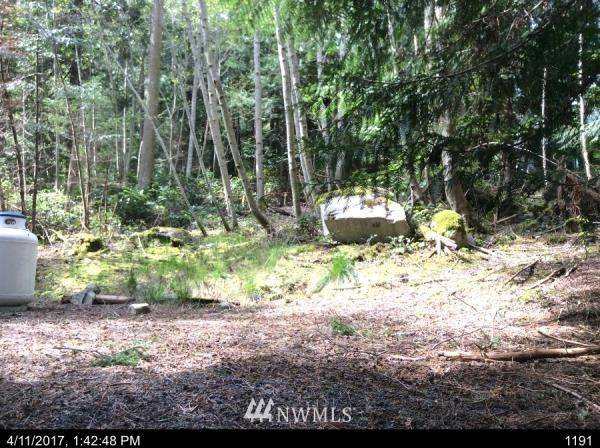 Lopez Island, WA 98261,66 Lodgepole LN