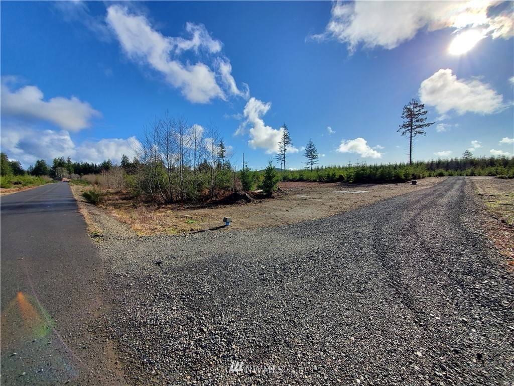 Forks, WA 98331,9999 Lot 1 Hennings SP