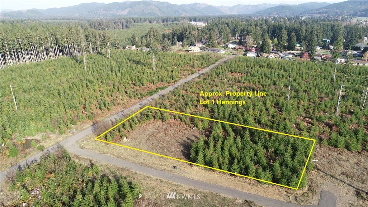 Forks, WA 98331,9999 Lot 1 Hennings SP