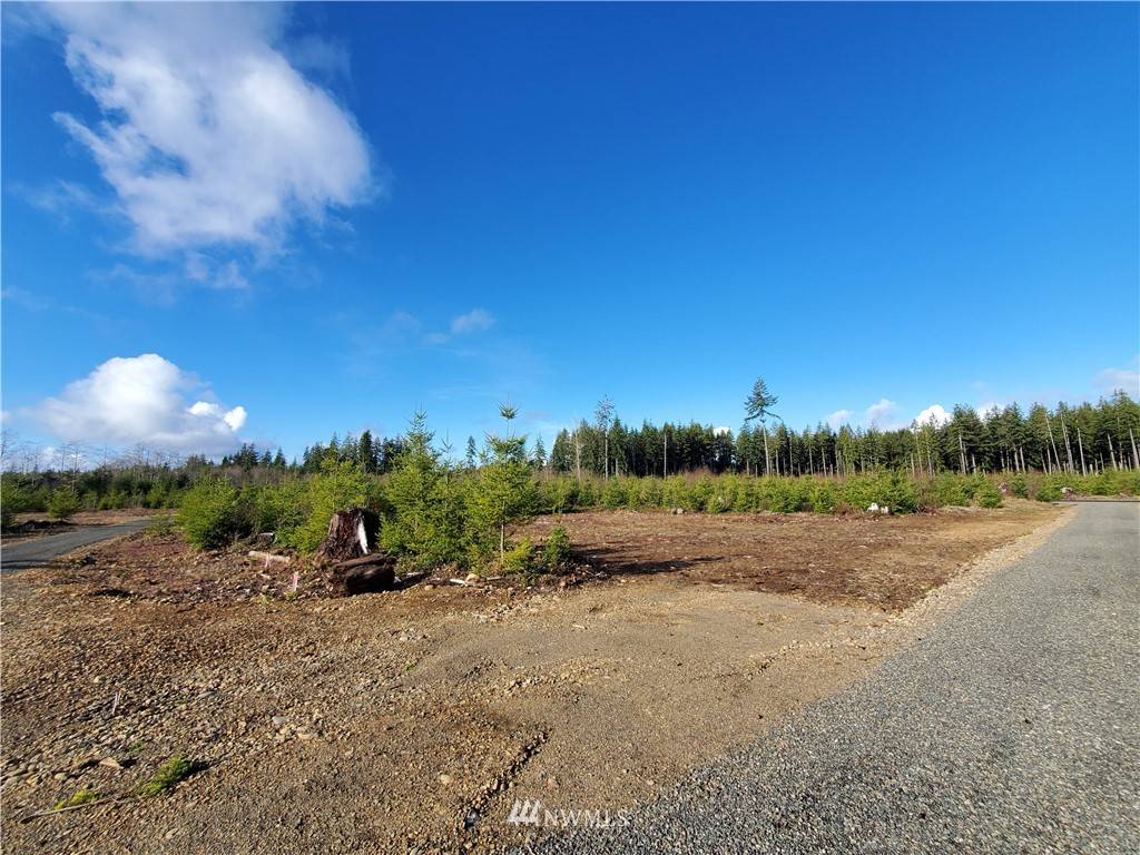 Forks, WA 98331,9999 Lot 2 Hennings SP