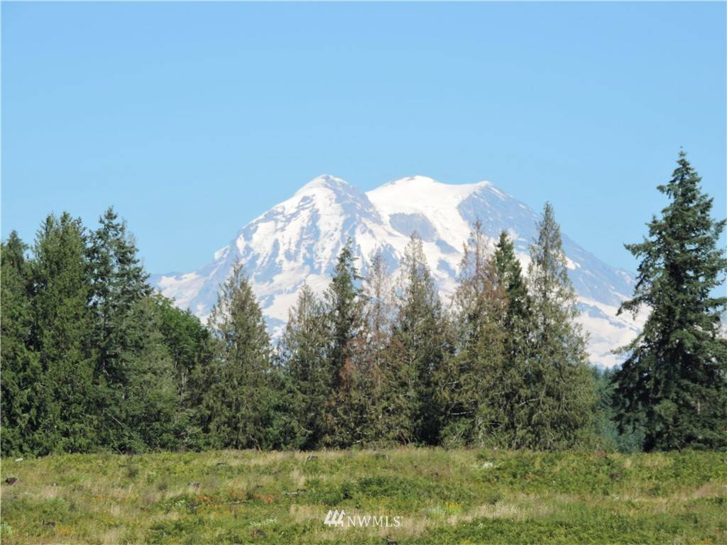 Eatonville, WA 98328,2906 357th ST E