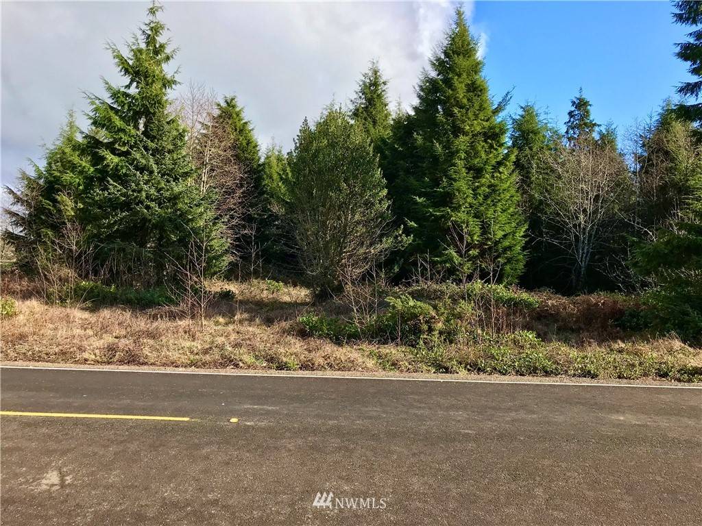 South Bend, WA 98586,0 Ranta RD