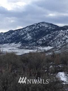 Tonasket, WA 98855,0 TBD Washburn RD