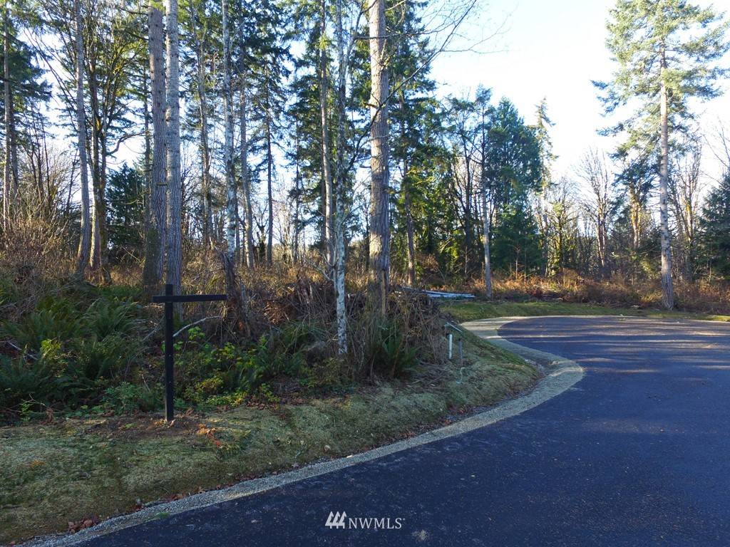 Port Orchard, WA 98366,4572 Forest View LN SE