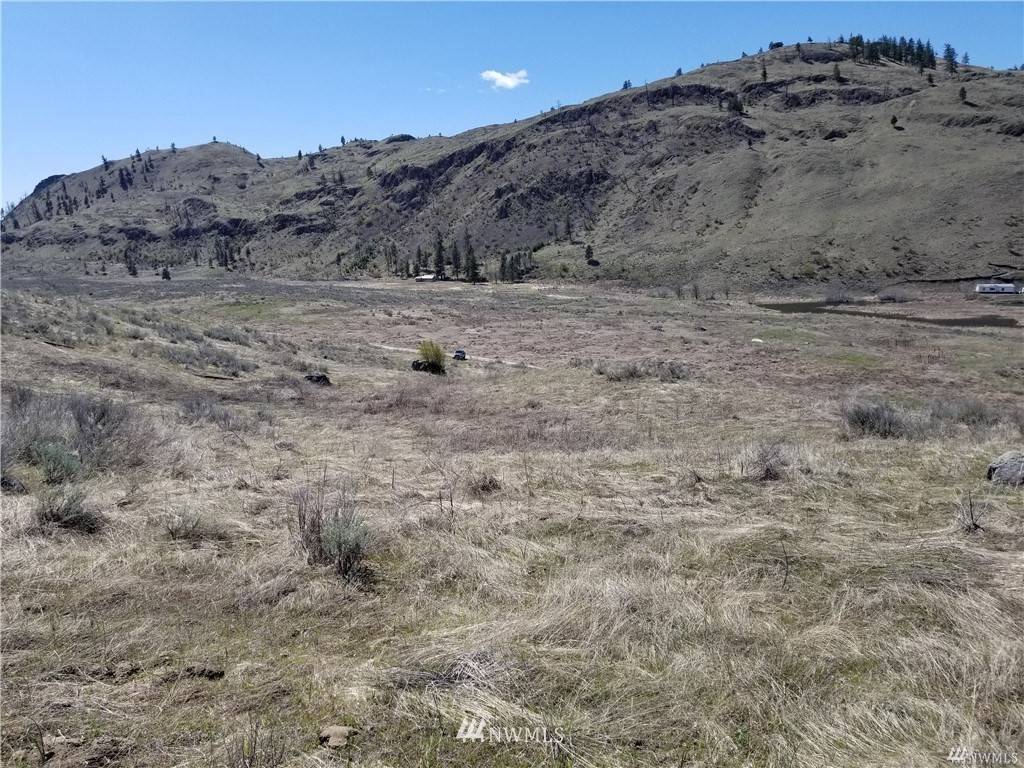 Tonasket, WA 98855,0 TBD Emily RD