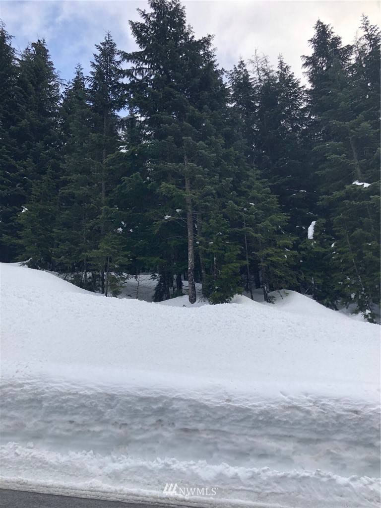 Snoqualmie Pass, WA 98068,14 Ober Strasse